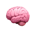Brain icon
